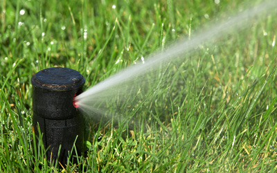 Irrigation of a lawn