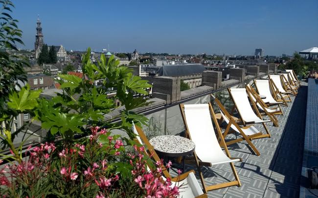 Sundeck chairs on a roof terrace